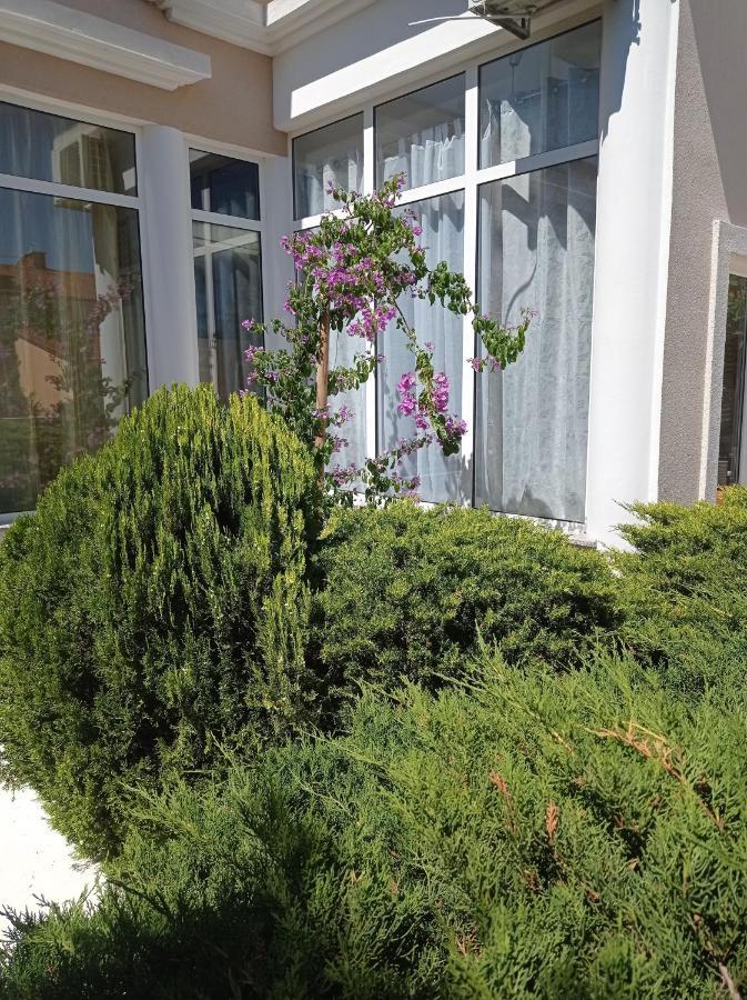 Villa Gregovica &T 2 بولا المظهر الخارجي الصورة