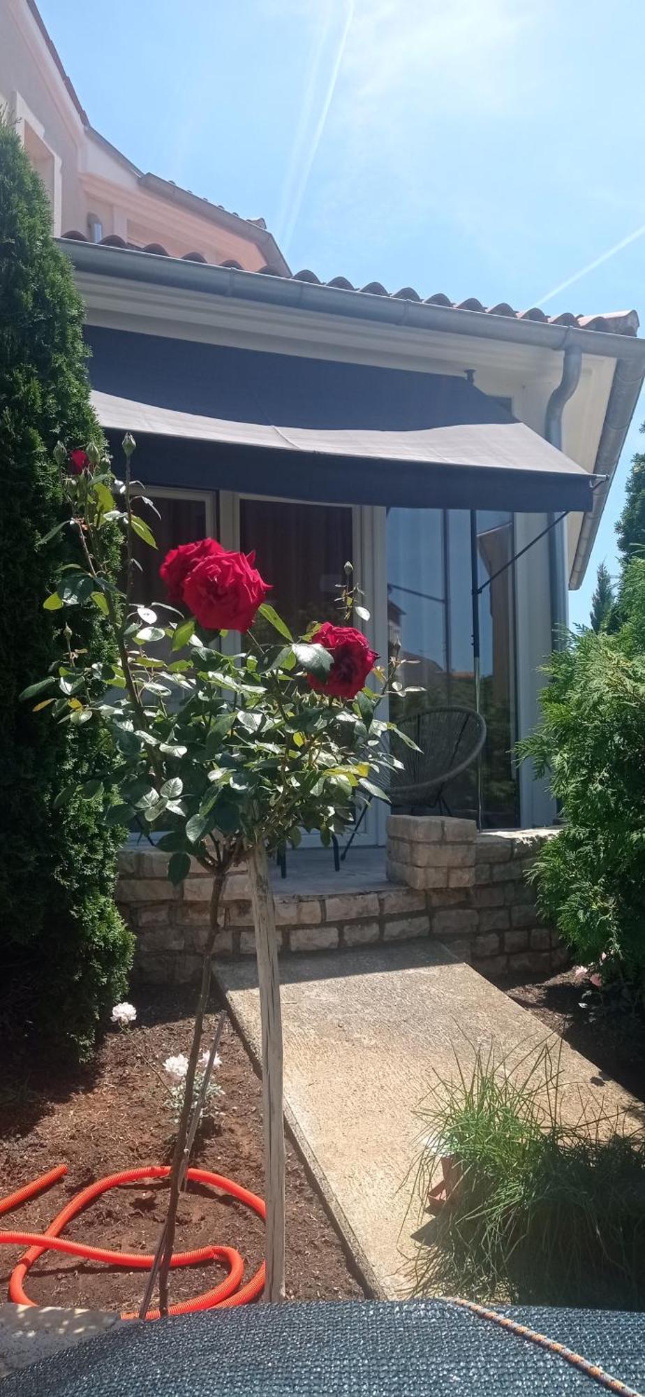 Villa Gregovica &T 2 بولا المظهر الخارجي الصورة